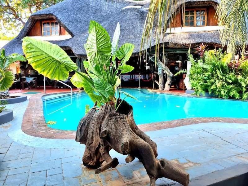 Dei Gratia Guest House Musina Ngoại thất bức ảnh