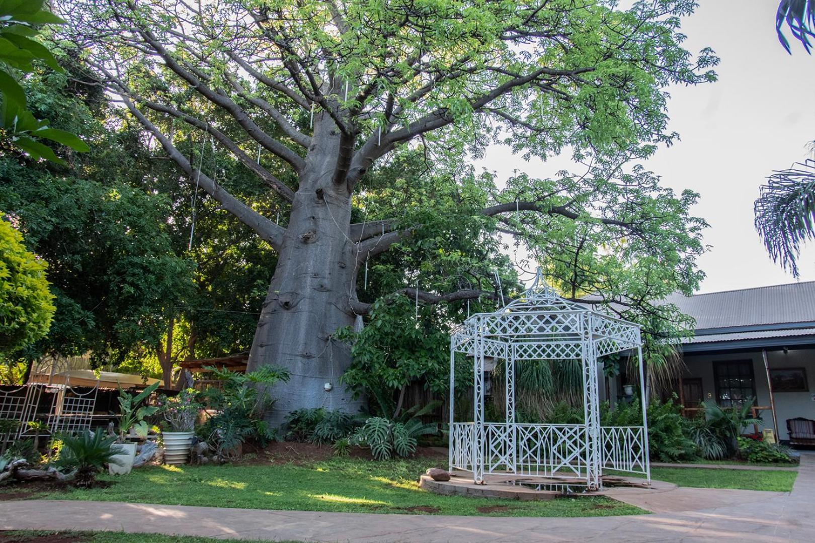 Dei Gratia Guest House Musina Ngoại thất bức ảnh